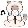 cute kitty . . 🤍 @Kenai_1 24