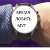 ВРЕМЯ ловить МУТ