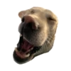 Dog's mood 30
