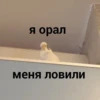 Больше стикеров → 28