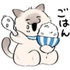 cute kitty . . 🤍 @Kenai_1 30