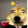 dumb faces 10