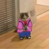 SPIDER-CATS articulet 10