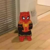 SPIDER-CATS articulet 15