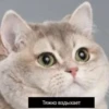 Тяжко вздыхает
