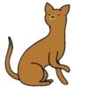 Gatos gatos gatos 6