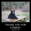 Black Bear 10