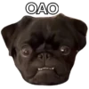 Pug Leonid 7