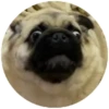 Pug Leonid 9