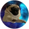 Pug Leonid 10