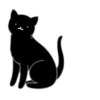 Gatos gatos gatos 8