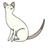 Gatos gatos gatos 9