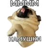Pug Leonid 17
