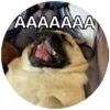 Pug Leonid 20