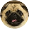 Pug Leonid 21