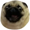 Pug Leonid 22