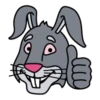 Rabbit @DurakTrade 20