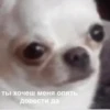 Ты хочеш меня опять довести да