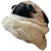 Pug Leonid 24