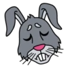 Rabbit @DurakTrade 25