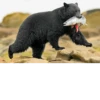 Black Bear 30