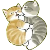 Lindos Gatitos💞1🇵🇪Clásica 5