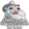 Decepcion 5