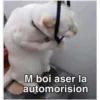 Decepcion 6