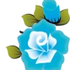 Flores e rosas 1 🌹 5