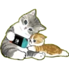 Lindos Gatitos💞1🇵🇪Clásica 6