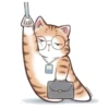 Busy Working Life of Mr. Orange Cat 5