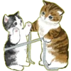 Lindos Gatitos💞1🇵🇪Clásica 7