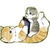Lindos Gatitos💞1🇵🇪Clásica 8