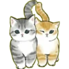 Lindos Gatitos💞1🇵🇪Clásica 9