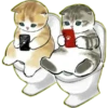 Lindos Gatitos💞1🇵🇪Clásica 10