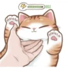 Busy Working Life of Mr. Orange Cat 7
