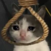 Triste 2 8