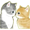 Lindos Gatitos💞1🇵🇪Clásica 11