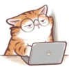 Busy Working Life of Mr. Orange Cat 8