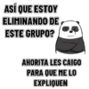Saquenlo del grupo 👥👍 5