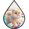 Perritos Tiernos ✺6🇻🇪 6