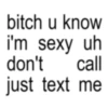 bitch u know i'm sexy uh don't call just text me