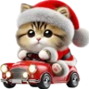 Gato Navideño🎄💞1🇵🇪Clásica 9