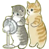 Lindos Gatitos💞1🇵🇪Clásica 12