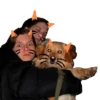 Shrekisskidu 7