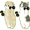 Lindos Gatitos💞1🇵🇪Clásica 15