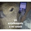 yo estalkeando a mi crush