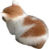 UwU 8