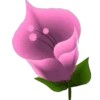 Flores e rosas 1 🌹 10