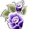 Flores e rosas 1 🌹 11